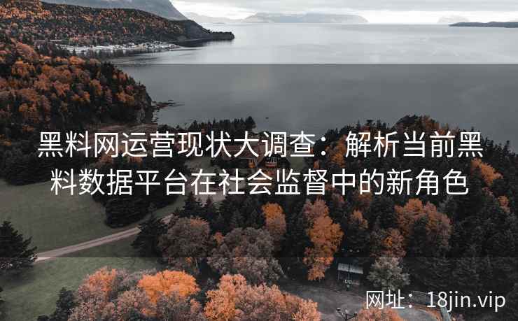 黑料网运营现状大调查：解析当前黑料数据平台在社会监督中的新角色
