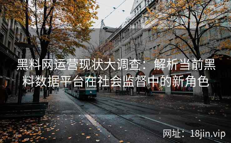 黑料网运营现状大调查：解析当前黑料数据平台在社会监督中的新角色