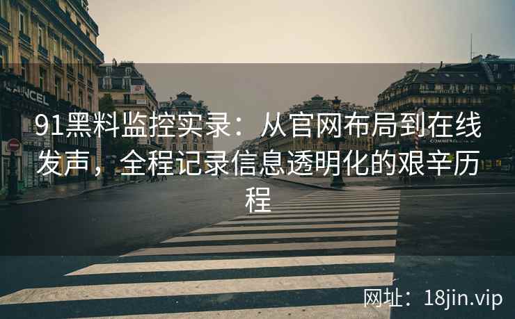 91黑料监控实录：从官网布局到在线发声，全程记录信息透明化的艰辛历程