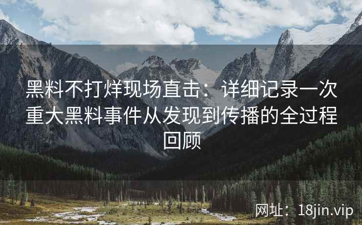 黑料不打烊现场直击：详细记录一次重大黑料事件从发现到传播的全过程回顾