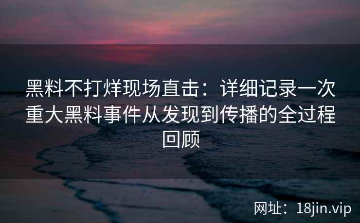 黑料不打烊现场直击：详细记录一次重大黑料事件从发现到传播的全过程回顾