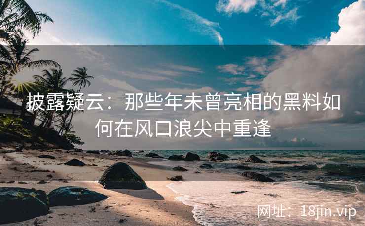 披露疑云：那些年未曾亮相的黑料如何在风口浪尖中重逢