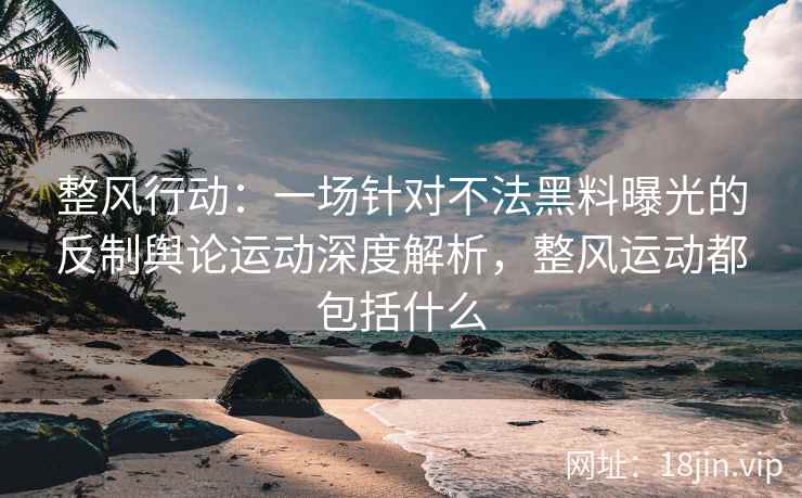 整风行动：一场针对不法黑料曝光的反制舆论运动深度解析，整风运动都包括什么