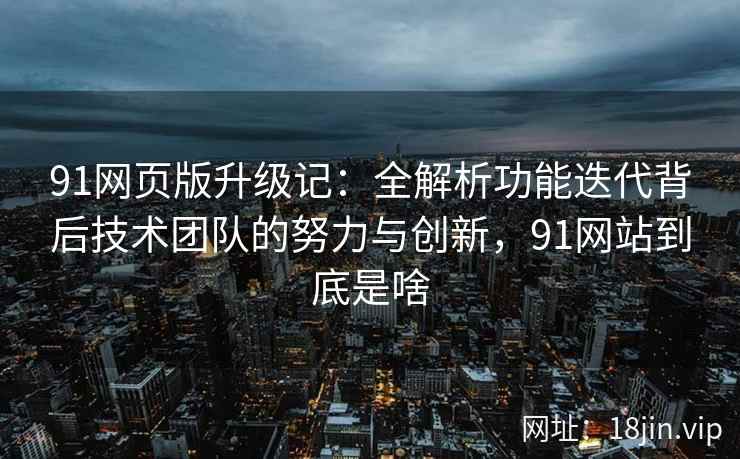 91网页版升级记：全解析功能迭代背后技术团队的努力与创新，91网站到底是啥
