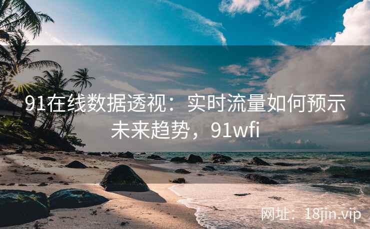 91在线数据透视：实时流量如何预示未来趋势，91wfi