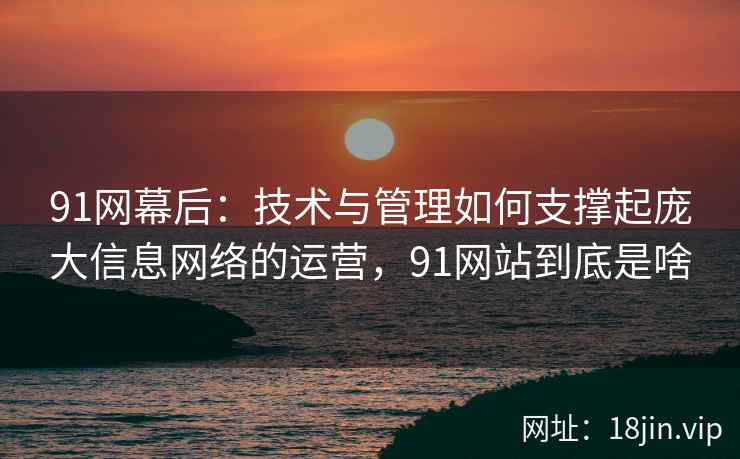 91网幕后：技术与管理如何支撑起庞大信息网络的运营，91网站到底是啥