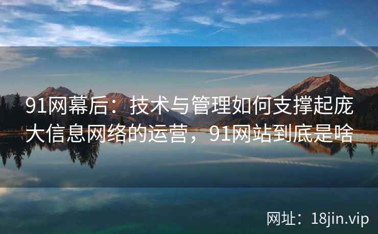 91网幕后：技术与管理如何支撑起庞大信息网络的运营，91网站到底是啥