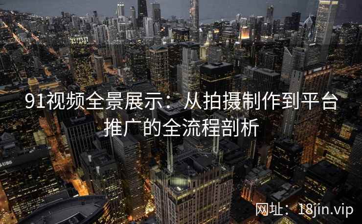 91视频全景展示：从拍摄制作到平台推广的全流程剖析