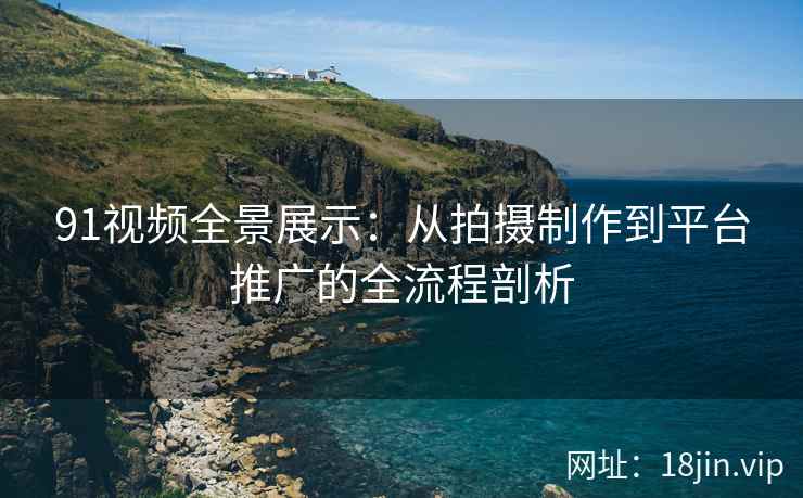 91视频全景展示：从拍摄制作到平台推广的全流程剖析