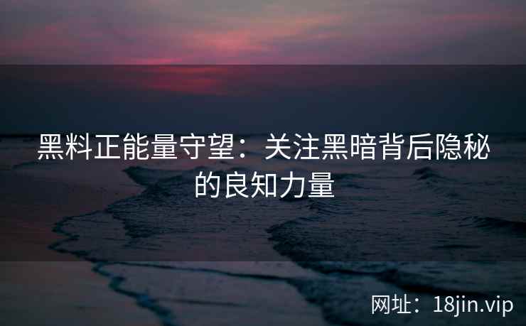 黑料正能量守望：关注黑暗背后隐秘的良知力量