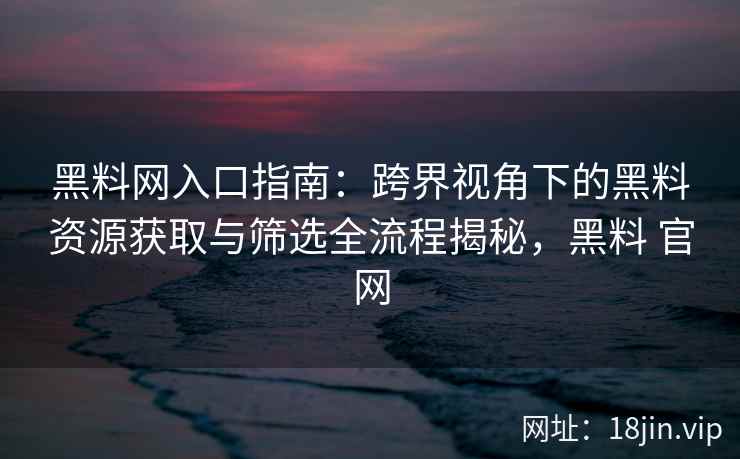 黑料网入口指南：跨界视角下的黑料资源获取与筛选全流程揭秘，黑料 官网