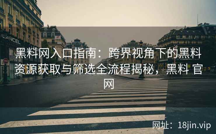 黑料网入口指南：跨界视角下的黑料资源获取与筛选全流程揭秘，黑料 官网