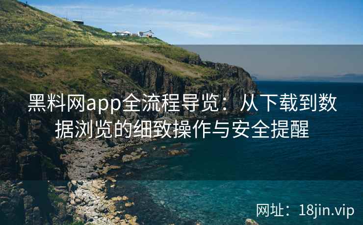 黑料网app全流程导览：从下载到数据浏览的细致操作与安全提醒