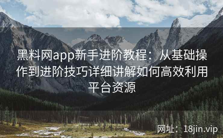 黑料网app新手进阶教程：从基础操作到进阶技巧详细讲解如何高效利用平台资源
