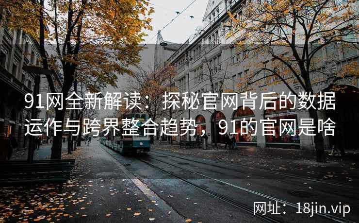 91网全新解读：探秘官网背后的数据运作与跨界整合趋势，91的官网是啥