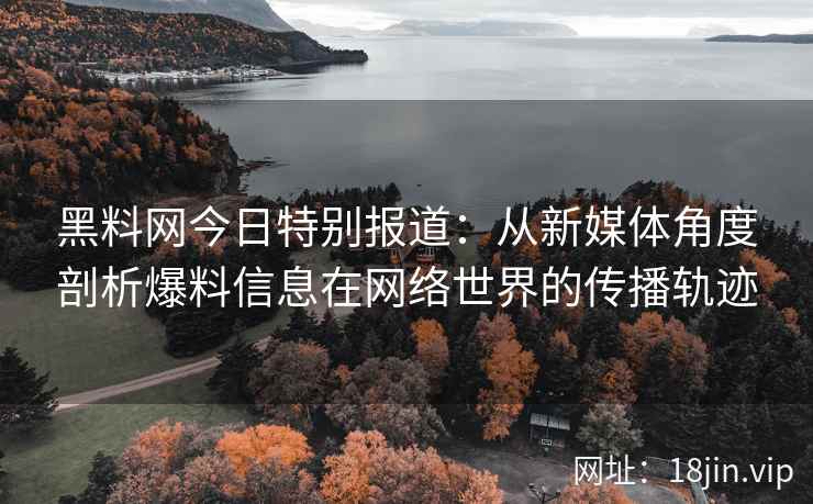 黑料网今日特别报道：从新媒体角度剖析爆料信息在网络世界的传播轨迹