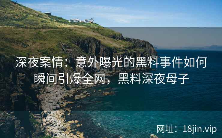 深夜案情：意外曝光的黑料事件如何瞬间引爆全网，黑料深夜母子