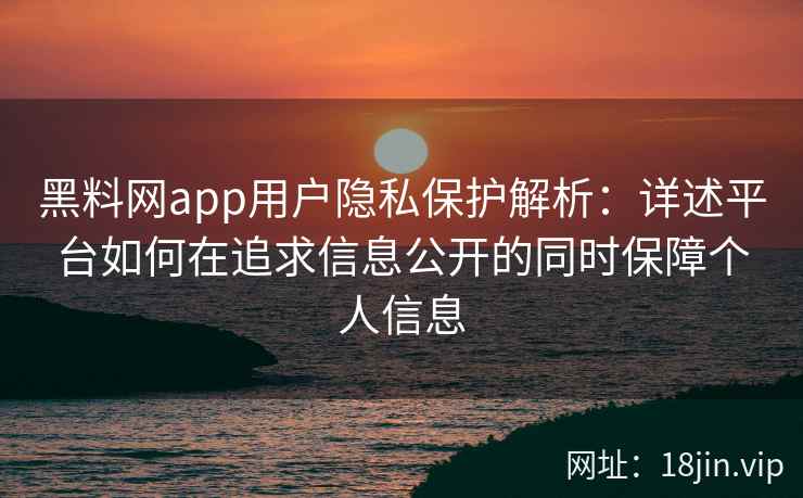 黑料网app用户隐私保护解析：详述平台如何在追求信息公开的同时保障个人信息