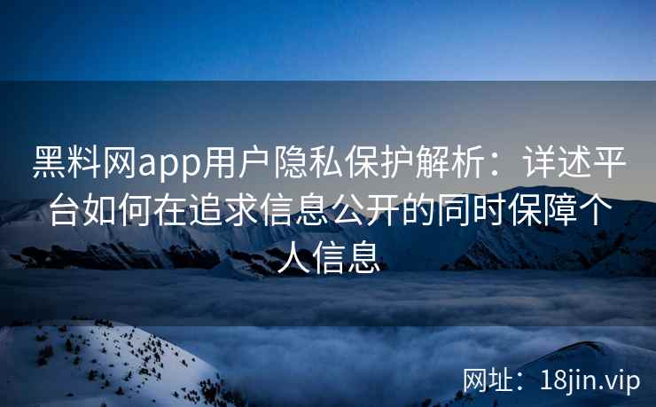 黑料网app用户隐私保护解析：详述平台如何在追求信息公开的同时保障个人信息