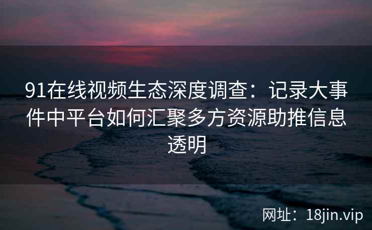 91在线视频生态深度调查：记录大事件中平台如何汇聚多方资源助推信息透明