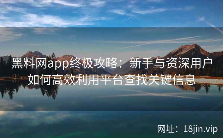 黑料网app终极攻略：新手与资深用户如何高效利用平台查找关键信息