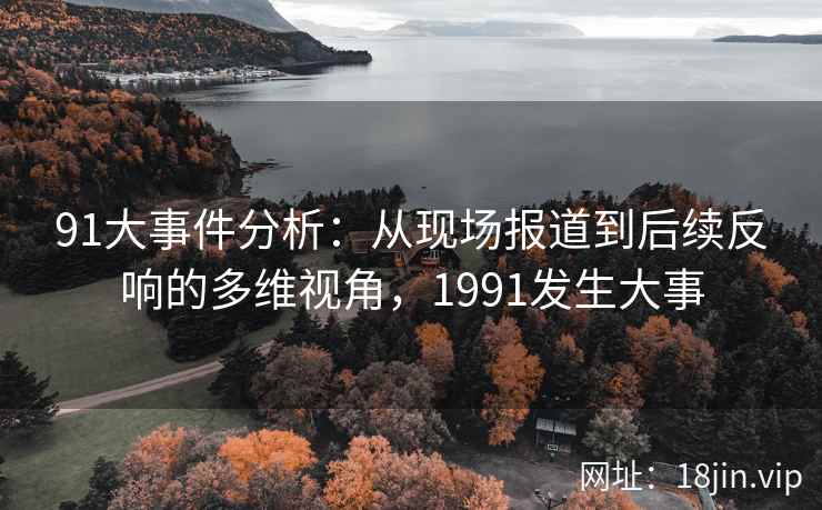 91大事件分析：从现场报道到后续反响的多维视角，1991发生大事