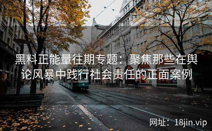 黑料正能量往期专题：聚焦那些在舆论风暴中践行社会责任的正面案例
