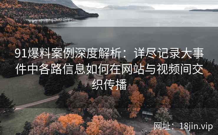 91爆料案例深度解析：详尽记录大事件中各路信息如何在网站与视频间交织传播
