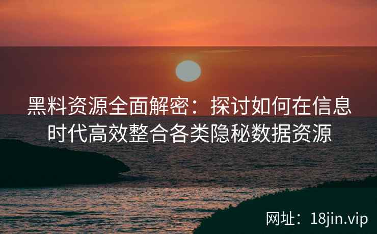 黑料资源全面解密：探讨如何在信息时代高效整合各类隐秘数据资源