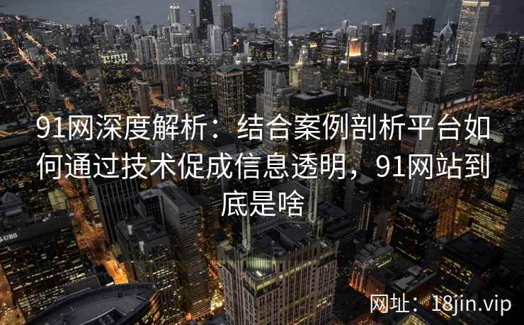 91网深度解析：结合案例剖析平台如何通过技术促成信息透明，91网站到底是啥