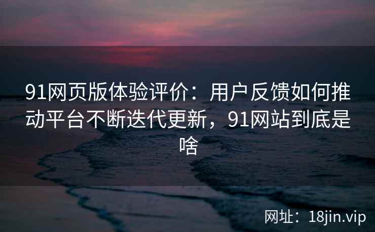 91网页版体验评价：用户反馈如何推动平台不断迭代更新，91网站到底是啥