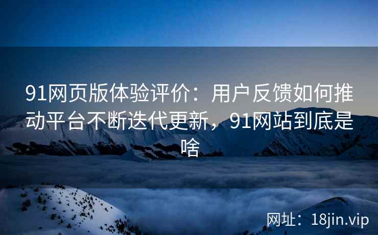 91网页版体验评价：用户反馈如何推动平台不断迭代更新，91网站到底是啥